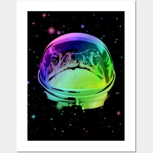 Space Frog Posters and Art